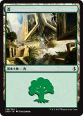 森/Forest 【日本語版】 [AKH-No.268]