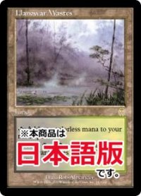 ラノワールの荒原/Llanowar Wastes (APC/土地R/日/通常/NM) ※詳細要確認