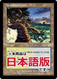 ヤヴィマヤの沿岸/Yavimaya Coast (APC/土地R/日/通常/NM) ※詳細要確認