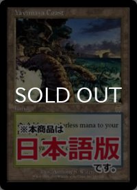 ヤヴィマヤの沿岸/Yavimaya Coast (APC/土地R/日/通常/EX) ※詳細要確認