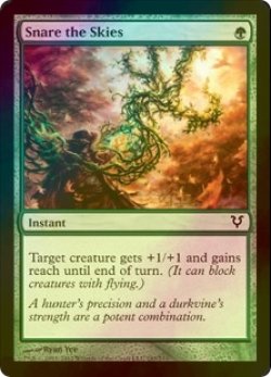 画像1: [FOIL] 天空捕え/Snare the Skies 【英語版】 [AVR-緑C]