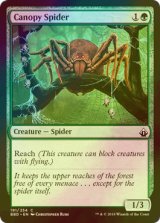 [FOIL] 梢の蜘蛛/Canopy Spider 【英語版】 [BBD-緑C]