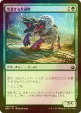 [FOIL] 突進する双頭獣/Charging Binox 【日本語版】 [BBD-緑C]