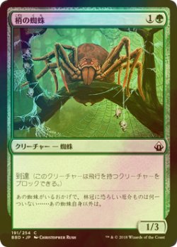 画像1: [FOIL] 梢の蜘蛛/Canopy Spider 【日本語版】 [BBD-緑C]