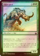 [FOIL] 突進するサイ/Charging Rhino 【日本語版】 [BBD-緑C]