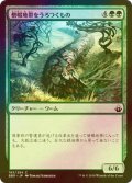 [FOIL] 僧帽地帯をうろつくもの/Cowl Prowler 【日本語版】 [BBD-緑C]