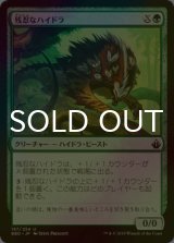 [FOIL] 残忍なハイドラ/Feral Hydra 【日本語版】 [BBD-緑U]