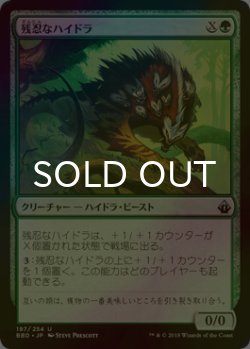 画像1: [FOIL] 残忍なハイドラ/Feral Hydra 【日本語版】 [BBD-緑U]