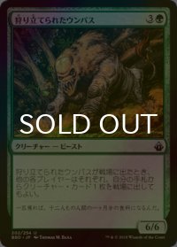 [FOIL] 狩り立てられたウンパス/Hunted Wumpus 【日本語版】 [BBD-緑U]