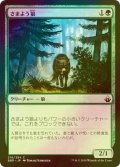 [FOIL] さまよう狼/Wandering Wolf 【日本語版】 [BBD-緑C]