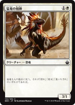 画像1: 猛竜の相棒/Raptor Companion 【日本語版】 [BBD-白C]