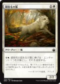 銀筋毛の狐/Silverchase Fox 【日本語版】 [BBD-白C]