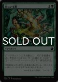 内にいる獣/Beast Within 【日本語版】 [BBD-緑U]