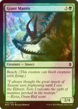 画像1: [FOIL] 大カマキリ/Giant Mantis 【英語版】 [BFZ-緑C]