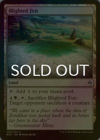 [FOIL] 荒廃した湿原/Blighted Fen 【英語版】 [BFZ-土地U]