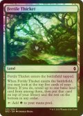 [FOIL] 肥沃な茂み/Fertile Thicket 【英語版】 [BFZ-土地C]