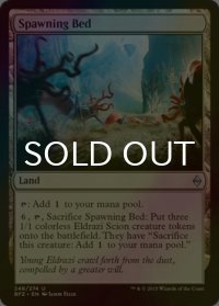 [FOIL] 繁殖苗床/Spawning Bed 【英語版】 [BFZ-土地U]