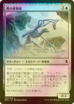 画像1: [FOIL] 霞の徘徊者/Murk Strider 【日本語版】 [BFZ-青C]