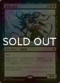 [FOIL] 果敢な血王/Defiant Bloodlord 【日本語版】 [BFZ-黒R]