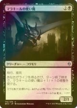 [FOIL] マラキールの使い魔/Malakir Familiar 【日本語版】 [BFZ-黒U]