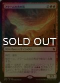 [FOIL] アクームの火の鳥/Akoum Firebird 【日本語版】 [BFZ-赤MR]