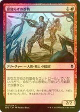 [FOIL] 命知らずの群勢/Reckless Cohort 【日本語版】 [BFZ-赤C]