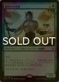 [FOIL] 獣呼びの学者/Beastcaller Savant 【日本語版】 [BFZ-緑R]