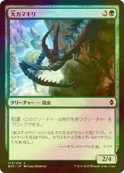 画像1: [FOIL] 大カマキリ/Giant Mantis 【日本語版】 [BFZ-緑C]