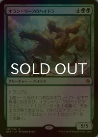 [FOIL] オラン＝リーフのハイドラ/Oran-Rief Hydra 【日本語版】 [BFZ-緑R]
