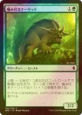 [FOIL] 噛み付きナーリッド/Snapping Gnarlid 【日本語版】 [BFZ-緑C]