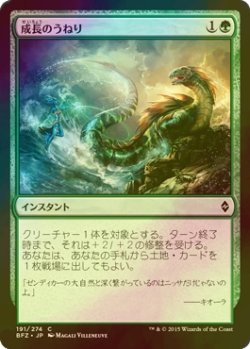 画像1: [FOIL] 成長のうねり/Swell of Growth 【日本語版】 [BFZ-緑C]