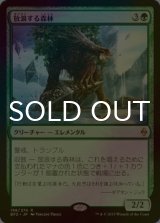 [FOIL] 放浪する森林/Woodland Wanderer 【日本語版】 [BFZ-緑R]