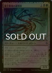 [FOIL] 地下墓地の選別者/Catacomb Sifter 【日本語版】 [BFZ-金U]