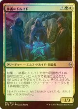 [FOIL] 林番のドルイド/Grovetender Druids 【日本語版】 [BFZ-金U]