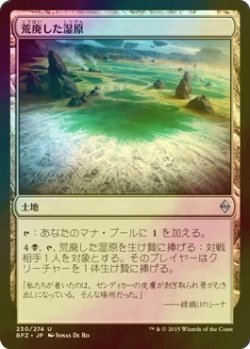 画像1: [FOIL] 荒廃した湿原/Blighted Fen 【日本語版】 [BFZ-土地U]