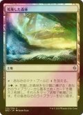 [FOIL] 荒廃した森林/Blighted Woodland 【日本語版】 [BFZ-土地U]