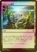 [FOIL] 進化する未開地/Evolving Wilds 【日本語版】 [BFZ-土地C]