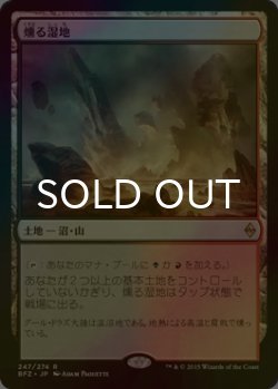 画像1: [FOIL] 燻る湿地/Smoldering Marsh 【日本語版】 [BFZ-土地R]