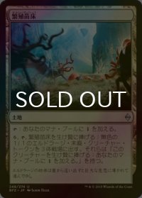 [FOIL] 繁殖苗床/Spawning Bed 【日本語版】 [BFZ-土地U]