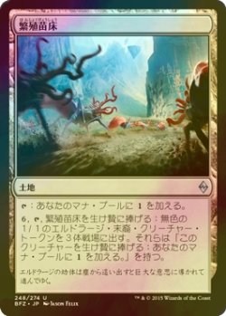 画像1: [FOIL] 繁殖苗床/Spawning Bed 【日本語版】 [BFZ-土地U]