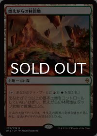 燃えがらの林間地/Cinder Glade 【日本語版】 [BFZ-土地R]
