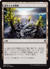 進化する未開地/Evolving Wilds 【日本語版】 [BFZ-土地C]