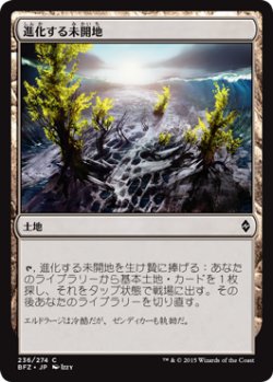 画像1: 進化する未開地/Evolving Wilds 【日本語版】 [BFZ-土地C]