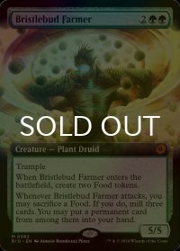 [FOIL] 逆棘芽の農家/Bristlebud Farmer (拡張アート版) 【英語版】 [BIG-緑MR]