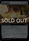 適合の結節点/Nexus of Becoming (拡張アート版) 【日本語版】 [BIG-灰MR]