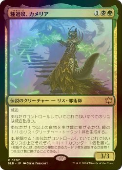 画像1: [FOIL] 種選奴、カメリア/Camellia, the Seedmiser 【日本語版】 [BLB-金R]