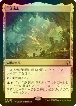画像1: 三本木市/Three Tree City (BLB/土地R/日/foil/NM) ※詳細要確認