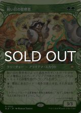 鋭い目の管理者/Keen-Eyed Curator (ショーケース版) 【日本語版】 [BLB-緑R]