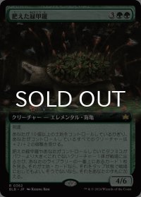 肥えた緑甲羅/Fecund Greenshell (拡張アート版) 【日本語版】 [BLB-緑R]