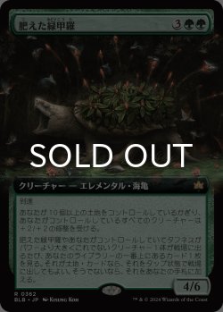 画像1: 肥えた緑甲羅/Fecund Greenshell (拡張アート版) 【日本語版】 [BLB-緑R]
